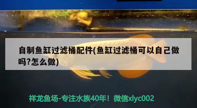 自制魚缸過濾桶配件(魚缸過濾桶可以自己做嗎?怎么做)