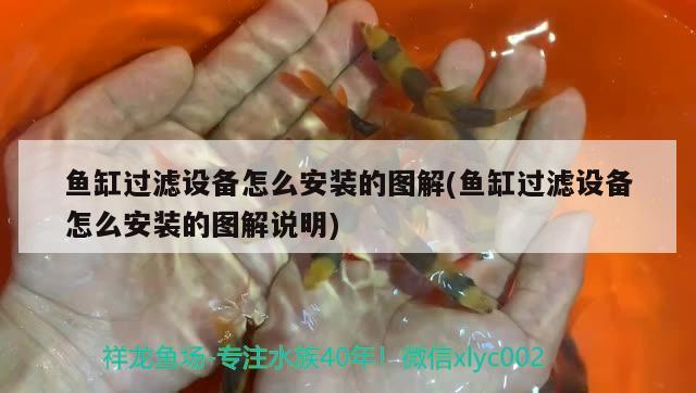 魚缸過濾設備怎么安裝的圖解(魚缸過濾設備怎么安裝的圖解說明) 過濾設備