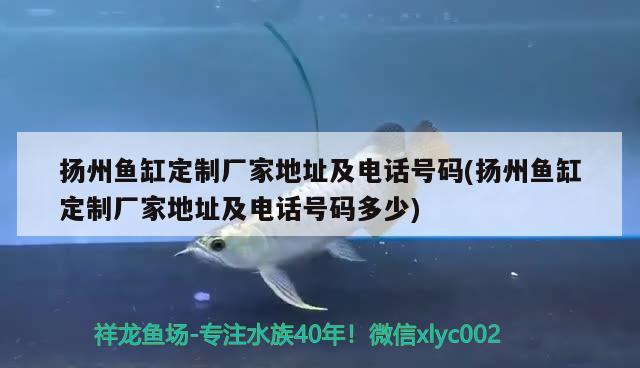 揚州魚缸定制廠家地址及電話號碼(揚州魚缸定制廠家地址及電話號碼多少)