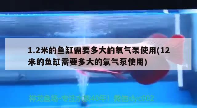 1.2米的魚缸需要多大的氧氣泵使用(12米的魚缸需要多大的氧氣泵使用)