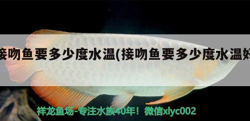 接吻魚要多少度水溫(接吻魚要多少度水溫好) 觀賞魚