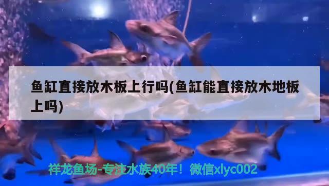 魚(yú)缸直接放木板上行嗎(魚(yú)缸能直接放木地板上嗎)