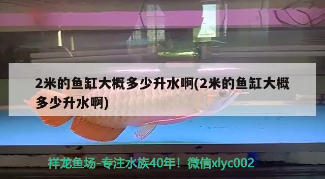 2米的魚缸大概多少升水啊(2米的魚缸大概多少升水啊) 虎魚百科 第2張