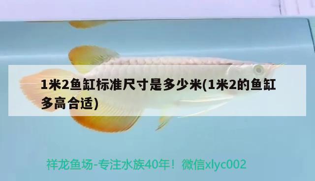 1米2魚缸標準尺寸是多少米(1米2的魚缸多高合適)