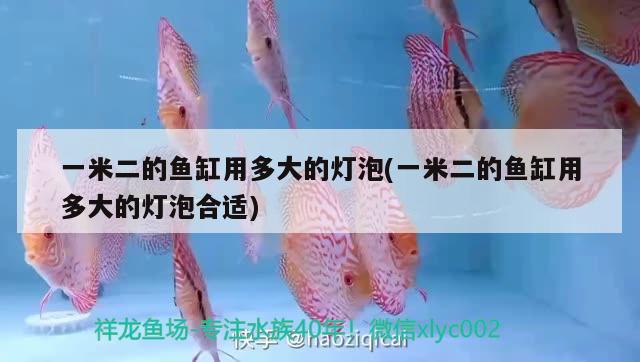 一米二的魚缸用多大的燈泡(一米二的魚缸用多大的燈泡合適)