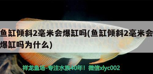 魚缸傾斜2毫米會(huì)爆缸嗎(魚缸傾斜2毫米會(huì)爆缸嗎為什么)