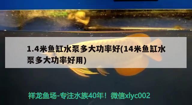 1.4米魚缸水泵多大功率好(14米魚缸水泵多大功率好用)