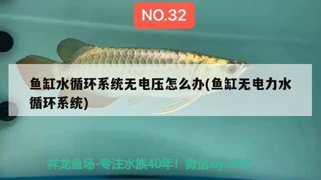 魚缸水循環(huán)系統(tǒng)無電壓怎么辦(魚缸無電力水循環(huán)系統(tǒng)) 虎魚魚苗