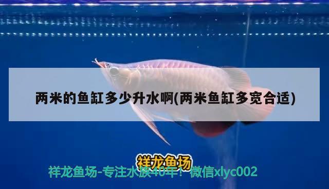 兩米的魚缸多少升水啊(兩米魚缸多寬合適)