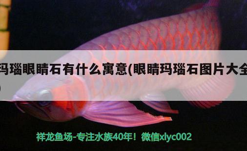 瑪瑙眼睛石有什么寓意(眼睛瑪瑙石圖片大全) 觀賞魚