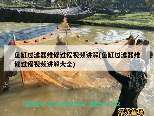 魚(yú)缸過(guò)濾器維修過(guò)程視頻講解(魚(yú)缸過(guò)濾器維修過(guò)程視頻講解大全) 白子關(guān)刀魚(yú)苗