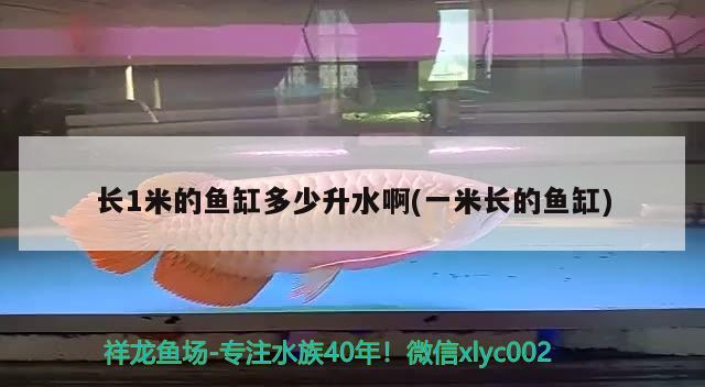 長1米的魚缸多少升水啊(一米長的魚缸)