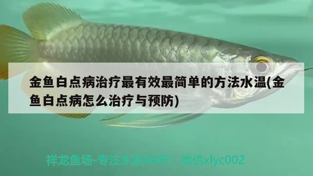 金魚白點(diǎn)病治療最有效最簡(jiǎn)單的方法水溫(金魚白點(diǎn)病怎么治療與預(yù)防) 觀賞魚