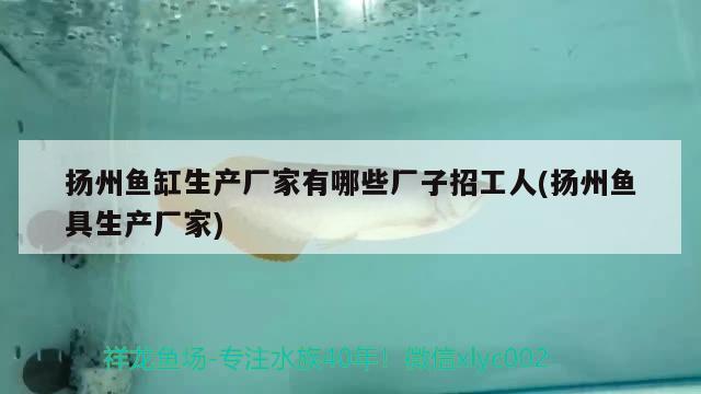 揚州魚缸生產(chǎn)廠家有哪些廠子招工人(揚州魚具生產(chǎn)廠家)