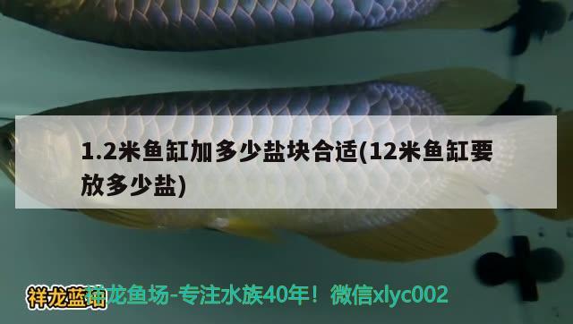 1.2米魚缸加多少鹽塊合適(12米魚缸要放多少鹽)