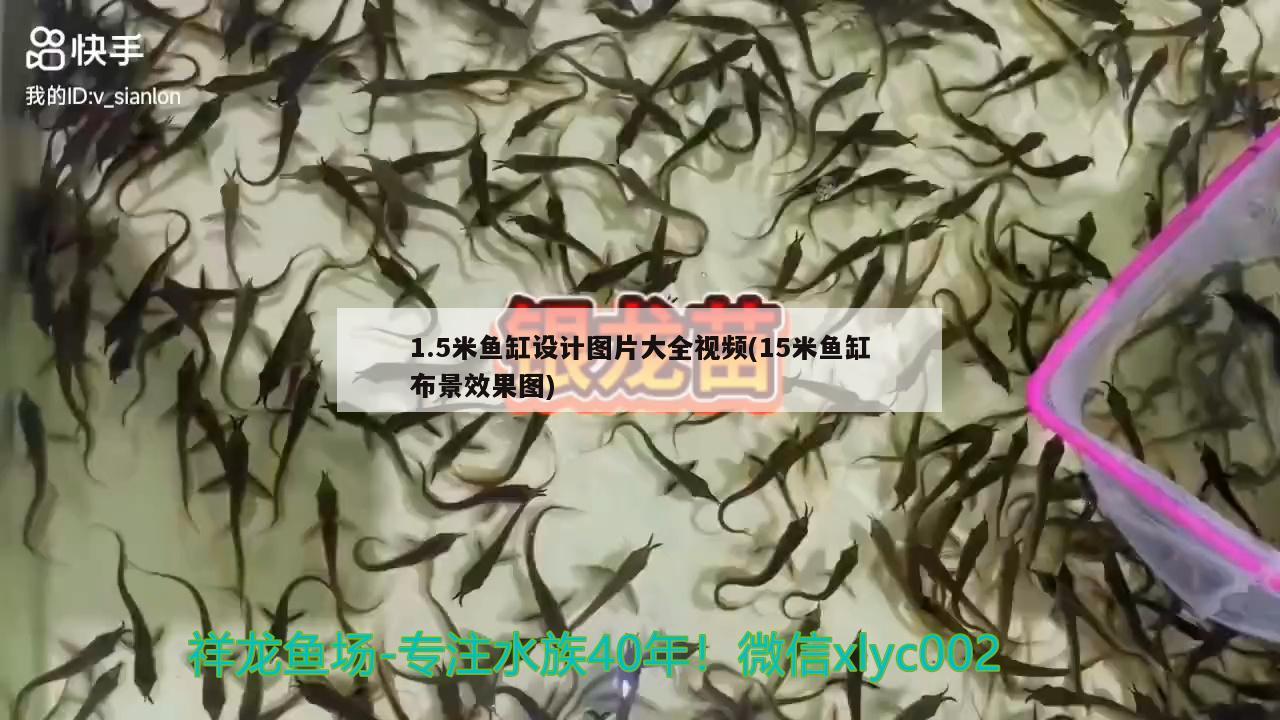 1.5米魚(yú)缸設(shè)計(jì)圖片大全視頻(15米魚(yú)缸布景效果圖)