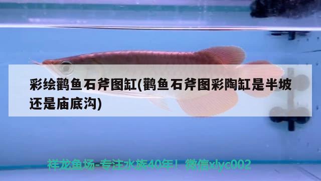 彩繪鸛魚石斧圖缸(鸛魚石斧圖彩陶缸是半坡還是廟底溝)