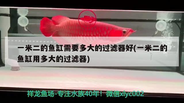 一米二的魚缸需要多大的過濾器好(一米二的魚缸用多大的過濾器)