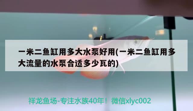 一米二魚缸用多大水泵好用(一米二魚缸用多大流量的水泵合適多少瓦的)