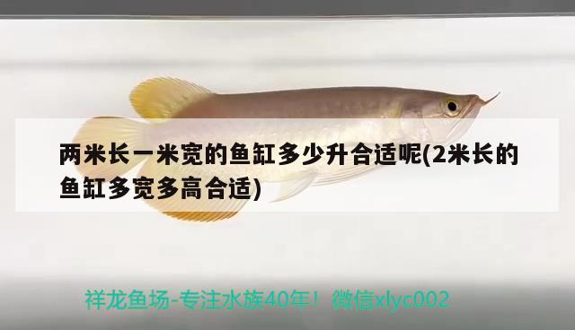 兩米長一米寬的魚缸多少升合適呢(2米長的魚缸多寬多高合適)