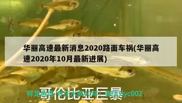 華麗高速最新消息2020路面車禍(華麗高速2020年10月最新進展)