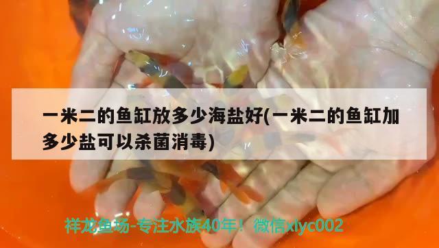 一米二的魚缸放多少海鹽好(一米二的魚缸加多少鹽可以殺菌消毒)