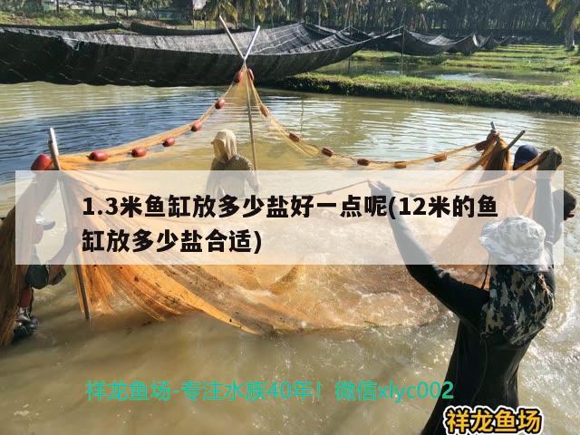 1.3米魚缸放多少鹽好一點(diǎn)呢(12米的魚缸放多少鹽合適)