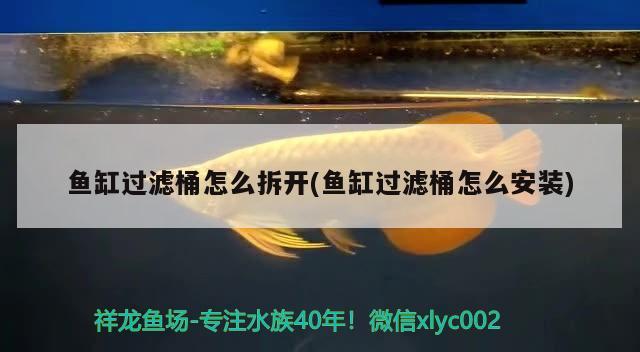 魚缸過濾桶怎么拆開(魚缸過濾桶怎么安裝)