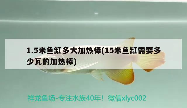 1.5米魚缸多大加熱棒(15米魚缸需要多少瓦的加熱棒) 祥龍赫舞紅龍魚