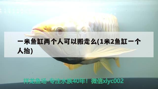 一米魚(yú)缸兩個(gè)人可以搬走么(1米2魚(yú)缸一個(gè)人抬) 水族維護(hù)服務(wù)（上門(mén)）