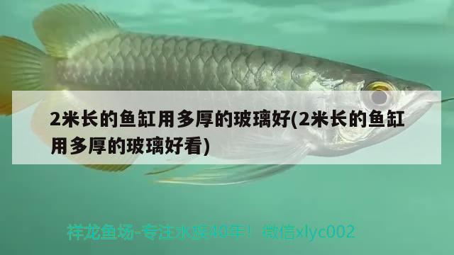 2米長的魚缸用多厚的玻璃好(2米長的魚缸用多厚的玻璃好看)