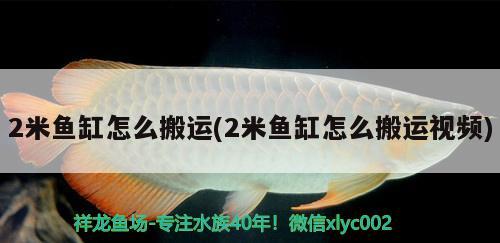 2米魚缸怎么搬運(2米魚缸怎么搬運視頻)