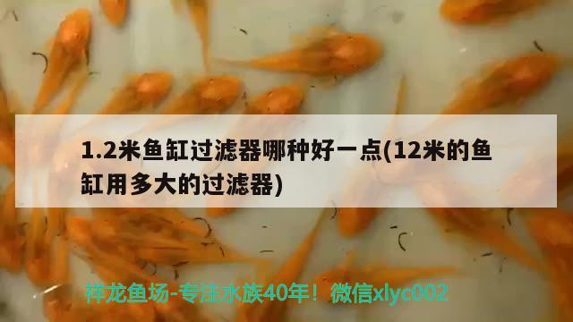 1.2米魚缸過濾器哪種好一點(12米的魚缸用多大的過濾器)