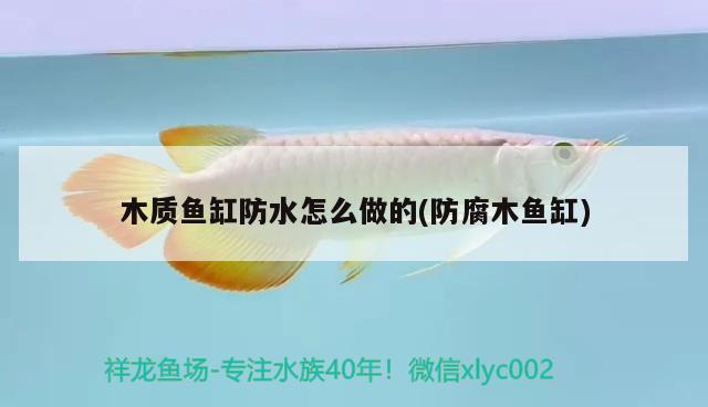 木質(zhì)魚缸防水怎么做的(防腐木魚缸) 檸檬鯽