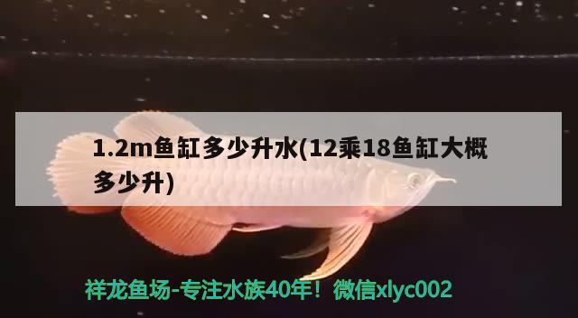 1.2m魚缸多少升水(12乘18魚缸大概多少升)