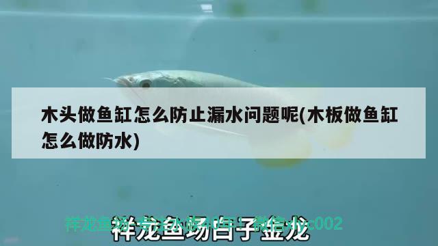 木頭做魚(yú)缸怎么防止漏水問(wèn)題呢(木板做魚(yú)缸怎么做防水)