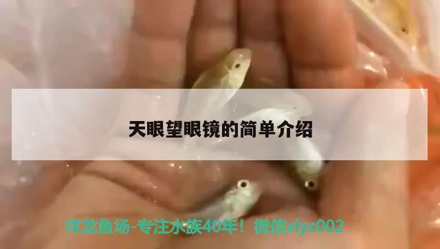 天眼望眼鏡的簡單介紹