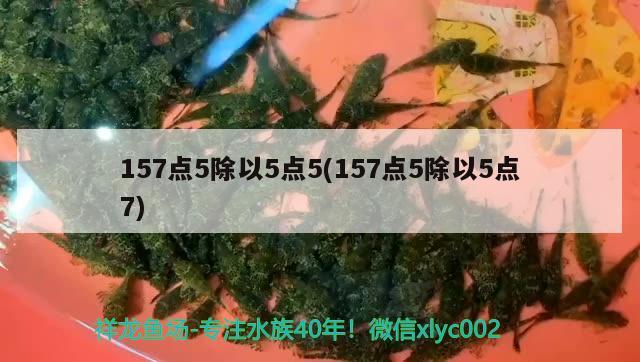 157點5除以5點5(157點5除以5點7) 觀賞魚