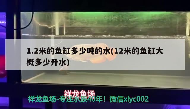 1.2米的魚缸多少噸的水(12米的魚缸大概多少升水)