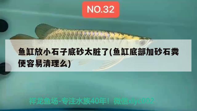 魚缸放小石子底砂太臟了(魚缸底部加砂石糞便容易清理么)