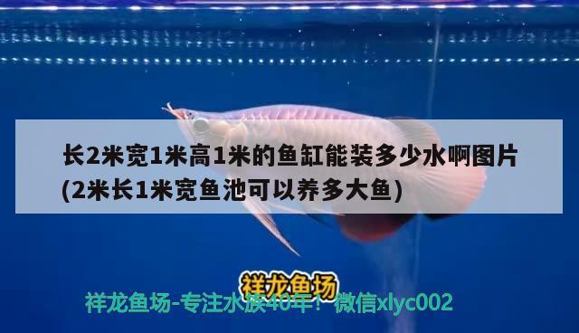 長2米寬1米高1米的魚缸能裝多少水啊圖片(2米長1米寬魚池可以養(yǎng)多大魚) 魚缸風水 第1張