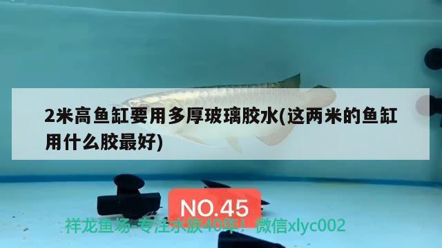 2米高魚(yú)缸要用多厚玻璃膠水(這兩米的魚(yú)缸用什么膠最好)