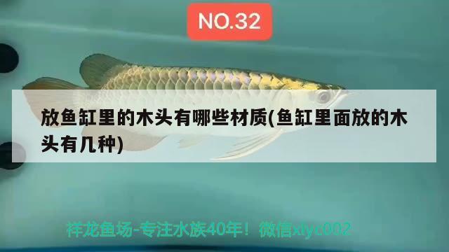 放魚缸里的木頭有哪些材質(zhì)(魚缸里面放的木頭有幾種) 雙線側(cè)魚