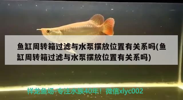 魚缸周轉(zhuǎn)箱過濾與水泵擺放位置有關(guān)系嗎(魚缸周轉(zhuǎn)箱過濾與水泵擺放位置有關(guān)系嗎) 黑云魚