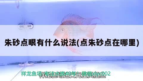 朱砂點眼有什么說法(點朱砂點在哪里) 觀賞魚 第2張