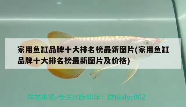 家用魚缸品牌十大排名榜最新圖片(家用魚缸品牌十大排名榜最新圖片及價格)