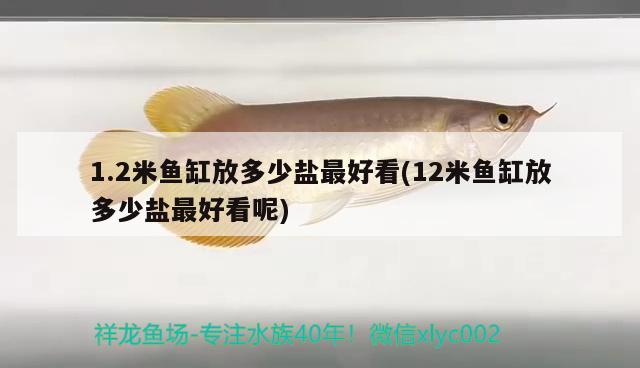 1.2米魚缸放多少鹽最好看(12米魚缸放多少鹽最好看呢)