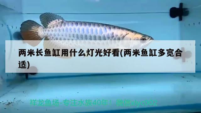 兩米長魚缸用什么燈光好看(兩米魚缸多寬合適)