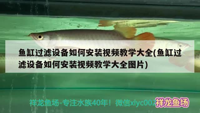 魚缸過濾設(shè)備如何安裝視頻教學(xué)大全(魚缸過濾設(shè)備如何安裝視頻教學(xué)大全圖片) 過濾設(shè)備