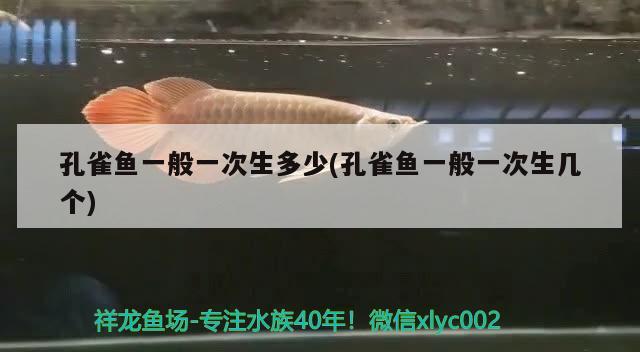 孔雀魚一般一次生多少(孔雀魚一般一次生幾個) 觀賞魚